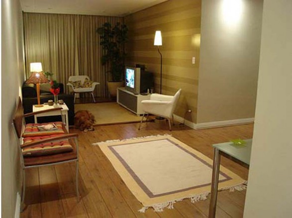 living-room-cute-apartment-ideas-587x438